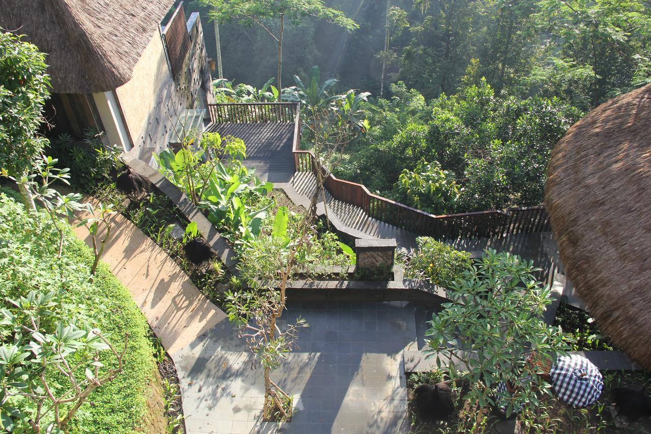 Tejaprana Resort & Spa Ubud Exterior foto The path to the viewing platform