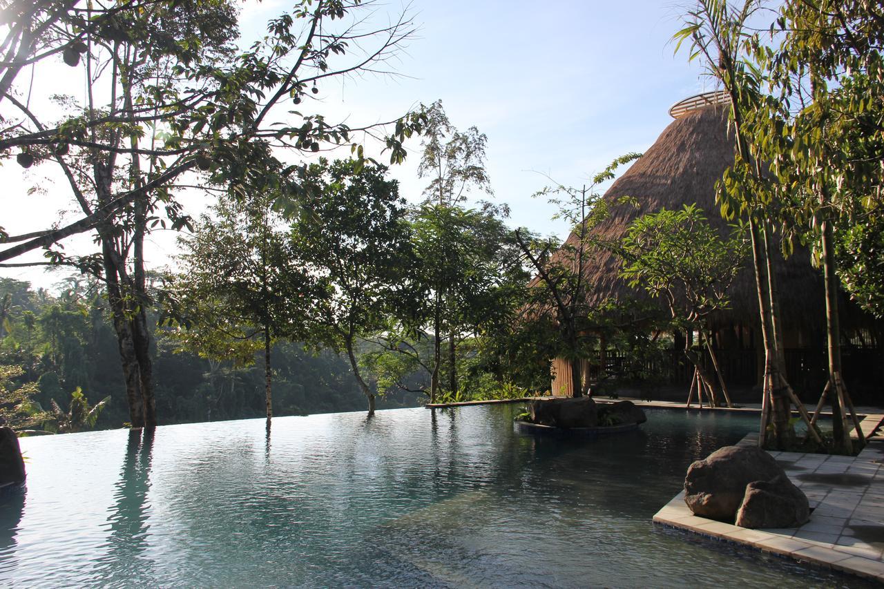 Tejaprana Resort & Spa Ubud Exterior foto The resort's swimming pool