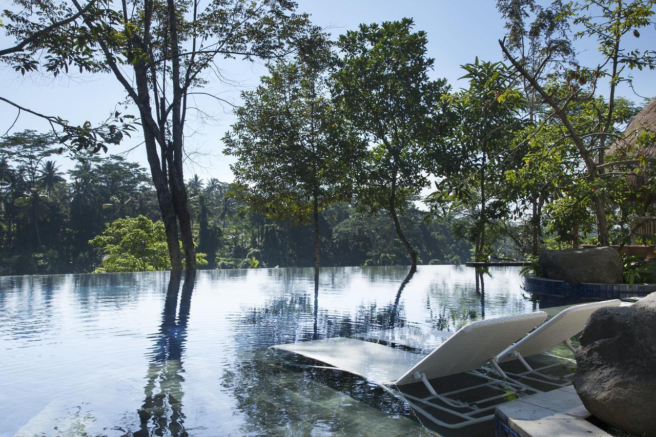 Tejaprana Resort & Spa Ubud Exterior foto The flooded park